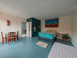 Rooms & Pool Macaws