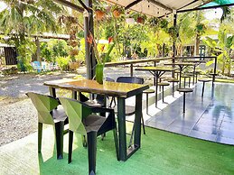 Rooms & Pool Macaws
