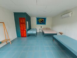 Rooms & Pool Macaws