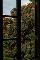Dendrobium House