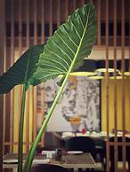 Hyatt Place Vijayawada