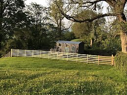 The Peacock Shepherds Hut at Hafoty Boeth