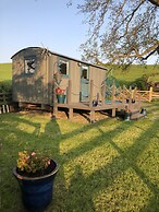 The Peacock Shepherds Hut at Hafoty Boeth