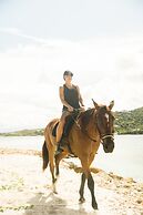 The Aerial, BVI