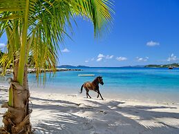 The Aerial, BVI