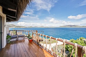 The Aerial, BVI