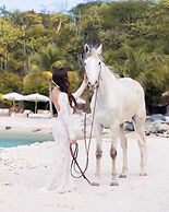 The Aerial, BVI