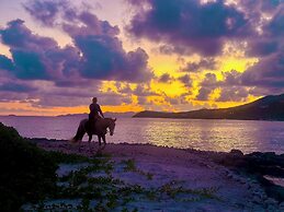 The Aerial, BVI