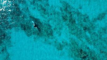 The Aerial, BVI