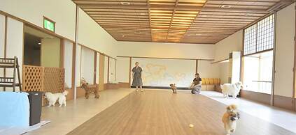 Shuzenji Kizuna Plus