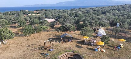 Mavi Kuş