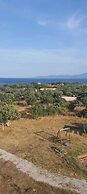 Mavi Kuş
