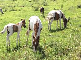 H & R Ranch Resort