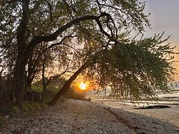 Solent Landing No 12A - Beachfront
