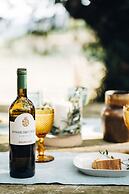 Casa do Santo - Wine & Tourism