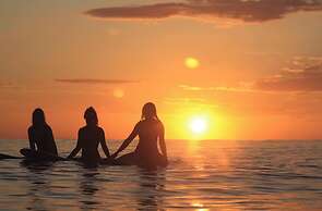 Laola Surf Camp