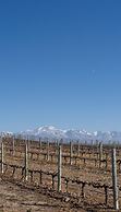 Villas del Malbec Lodge