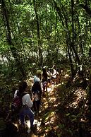 BOSQUE EL DESCANSO
