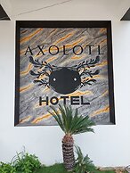 Hotel Axolotl