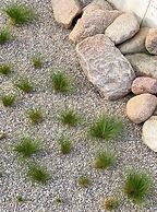 CLIFF Trzęsacz - sea view apartments