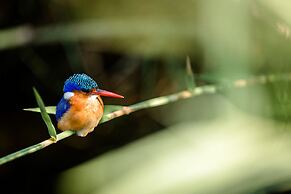 Nkuhlu Tented Camp