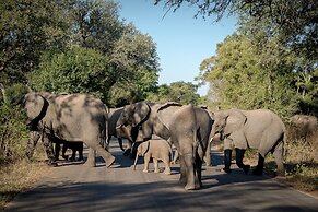 Nkuhlu Tented Camp