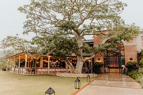 Barrington's Small Hotel