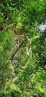 Margay - Reserva Natural y Lodge
