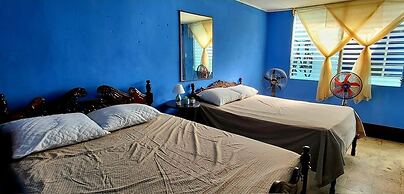 Hostal Cisne House