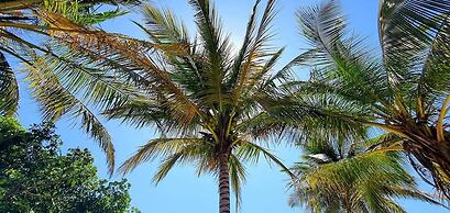 Sand Beach Palm Residence