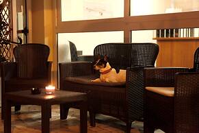 Hotel Alfa