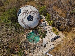 Bosque Geométrico