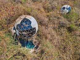 Bosque Geométrico