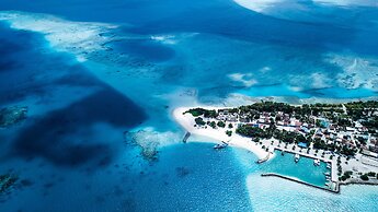 Hide Inn Blue