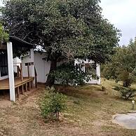 Restaurante Calor Tropical