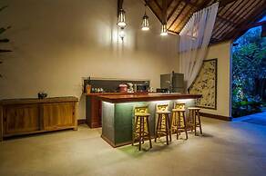Infinity Jungle View Aashaya Villa Ubud