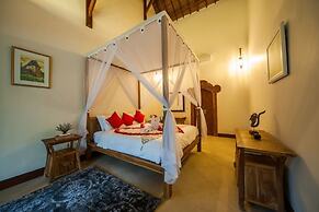 Infinity Jungle View Aashaya Villa Ubud