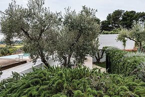 CocoTrullo
