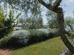 CocoTrullo