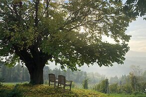 Villa Verdicchio - B&B with wellness for winelovers