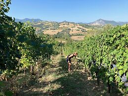 Villa Verdicchio - B&B with wellness for winelovers
