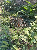 Vang Vieng Champa Hotel