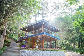 Tea Resort Prenn
