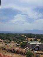 Assos Ada