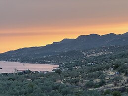 Assos Ada
