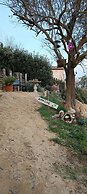 b&b Terra di collina