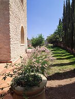 Riad Bini- Ddik