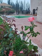 Riad Bini- Ddik