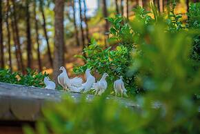 Kairos Valley Health & Nature Resort