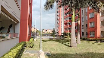 Divento